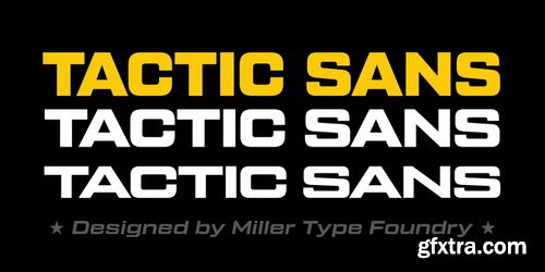 Tactic Sans Font Family $349