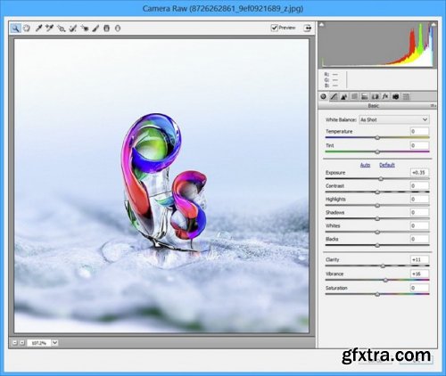 Adobe Camera Raw 9.6.0