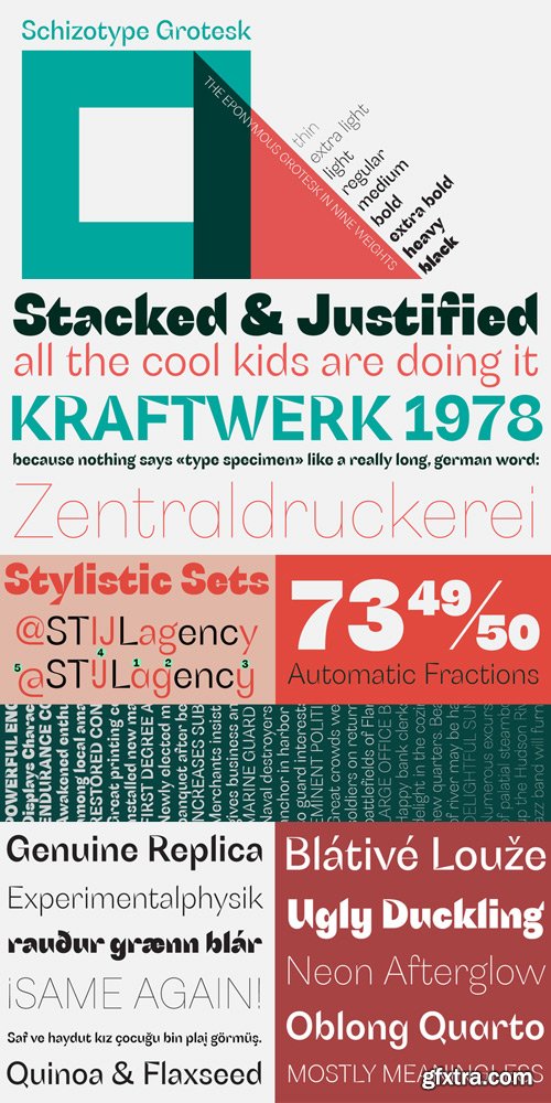 Schizotype Grotesk Font Family $80