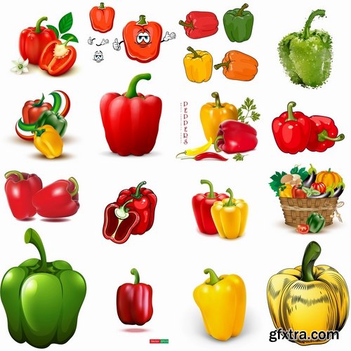 Collection of bell pepper paprika vegetable 25 EPS