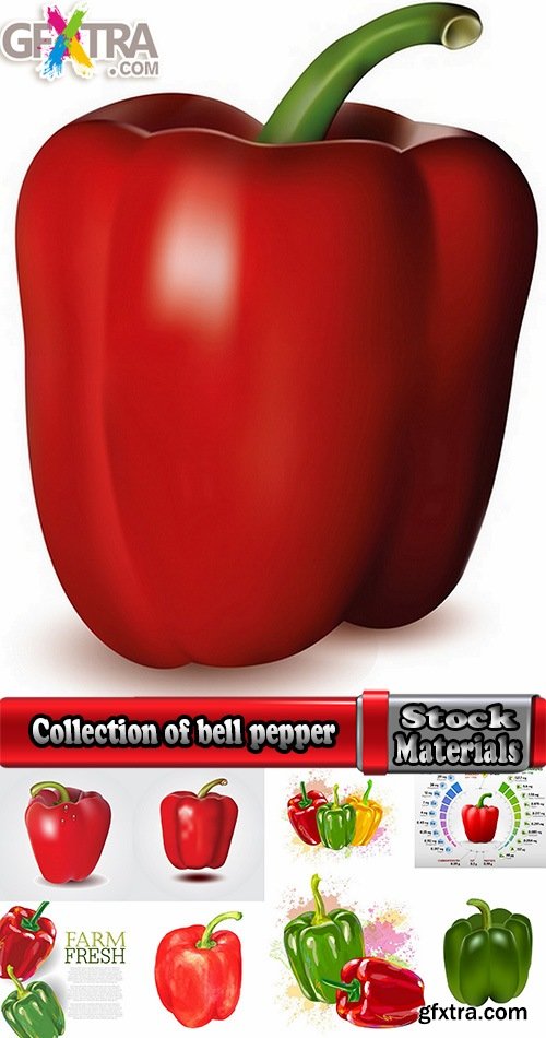 Collection of bell pepper paprika vegetable 25 EPS