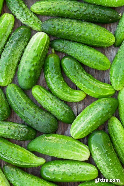 Cucumbers - 22xUHQ JPEG