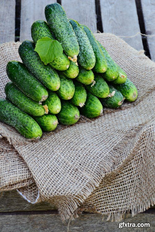 Cucumbers - 22xUHQ JPEG