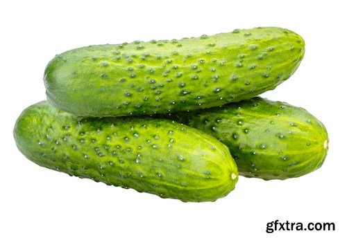 Cucumbers - 22xUHQ JPEG