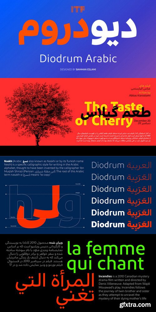 Diodrum Arabic Font Family $520