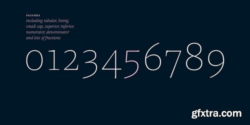 Pensum Pro Font Family $389