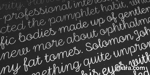 Stratic Script Font Family $130