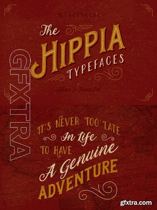 CM - The Hippia Typefaces 733948