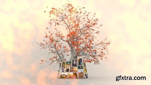 Videohive Memory Tree Slideshow 16669180