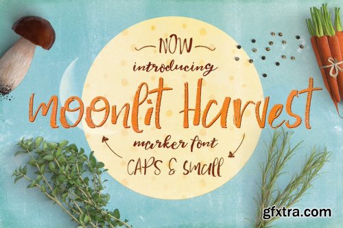 CreativeMarket Marvellous Font Bundle 93% OFF 755586