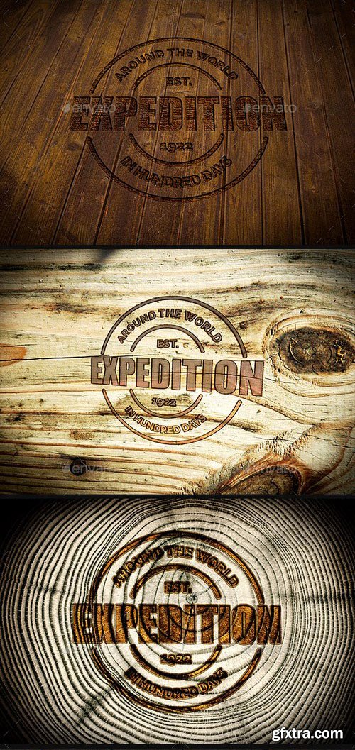 GraphicRiver - Photorealistic Logo Mock-Up Pack 2 - Wood Edition