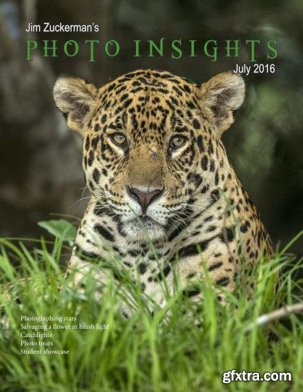 Photo Insights - July 2016