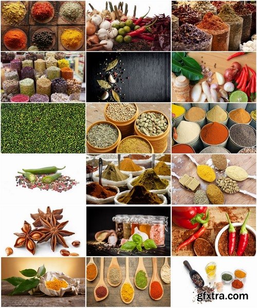 Collection of spices garlic pepper seasoning sharpness 25 HQ Jpeg