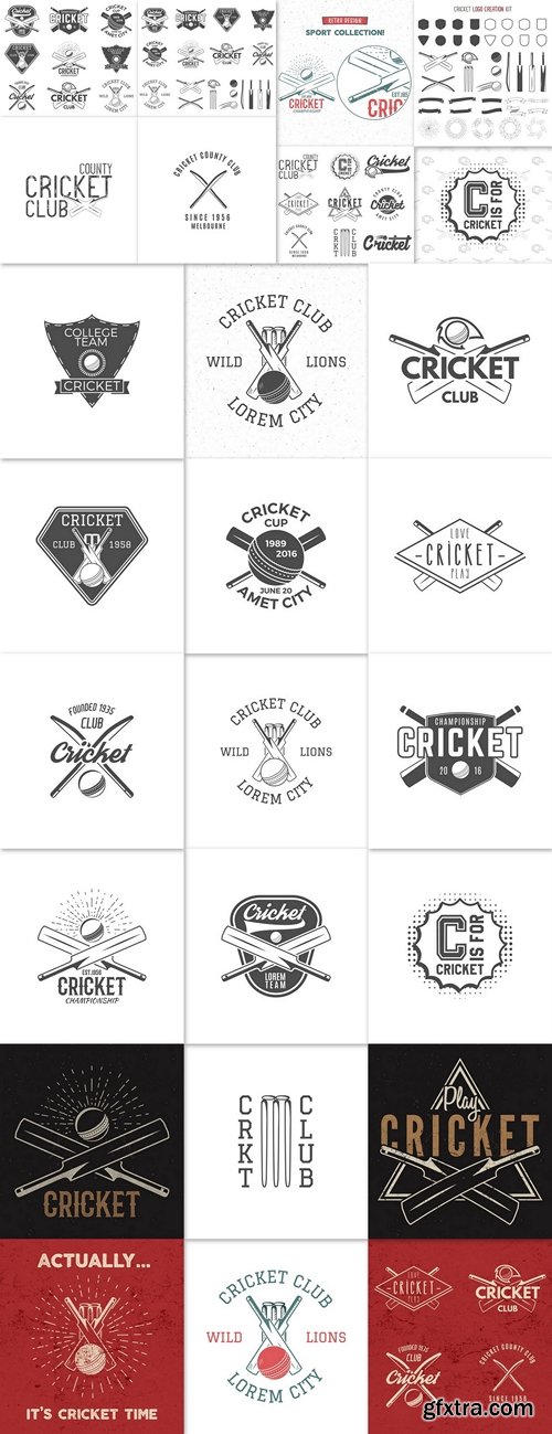 Cricket team emblem and design elements. championship logo . club badge