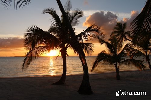 Collection Bahamas beach resort sand sea landscape palm island 25 HQ Jpeg