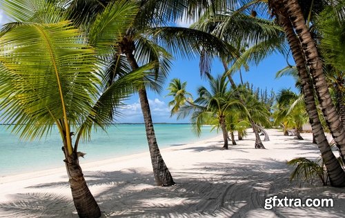 Collection Bahamas beach resort sand sea landscape palm island 25 HQ Jpeg