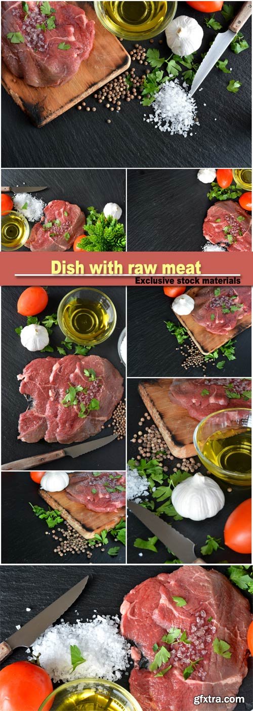 Dish with raw meat