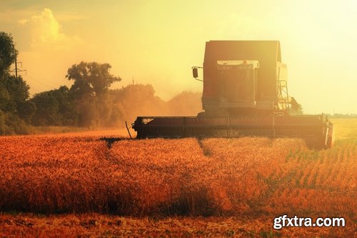 Collection of combine tractor harvesting field of agricultural crop harvester 25 HQ Jpeg