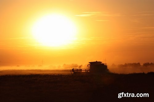 Collection of combine tractor harvesting field of agricultural crop harvester 25 HQ Jpeg