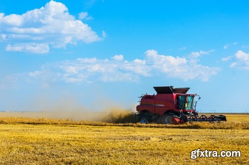 Collection of combine tractor harvesting field of agricultural crop harvester 25 HQ Jpeg