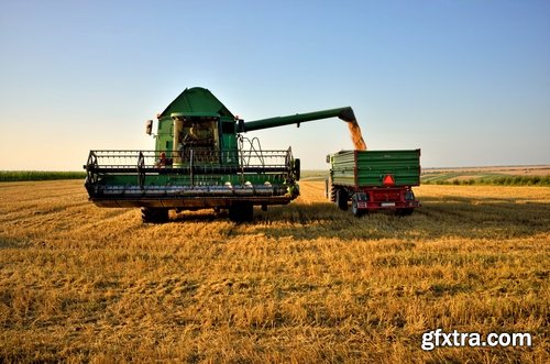 Collection of combine tractor harvesting field of agricultural crop harvester 25 HQ Jpeg