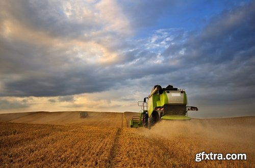 Collection of combine tractor harvesting field of agricultural crop harvester 25 HQ Jpeg