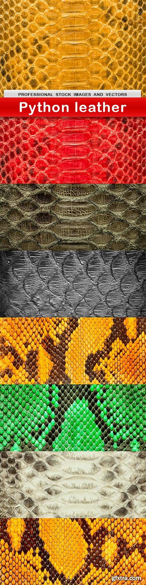 Python leather - 8 UHQ JPEG