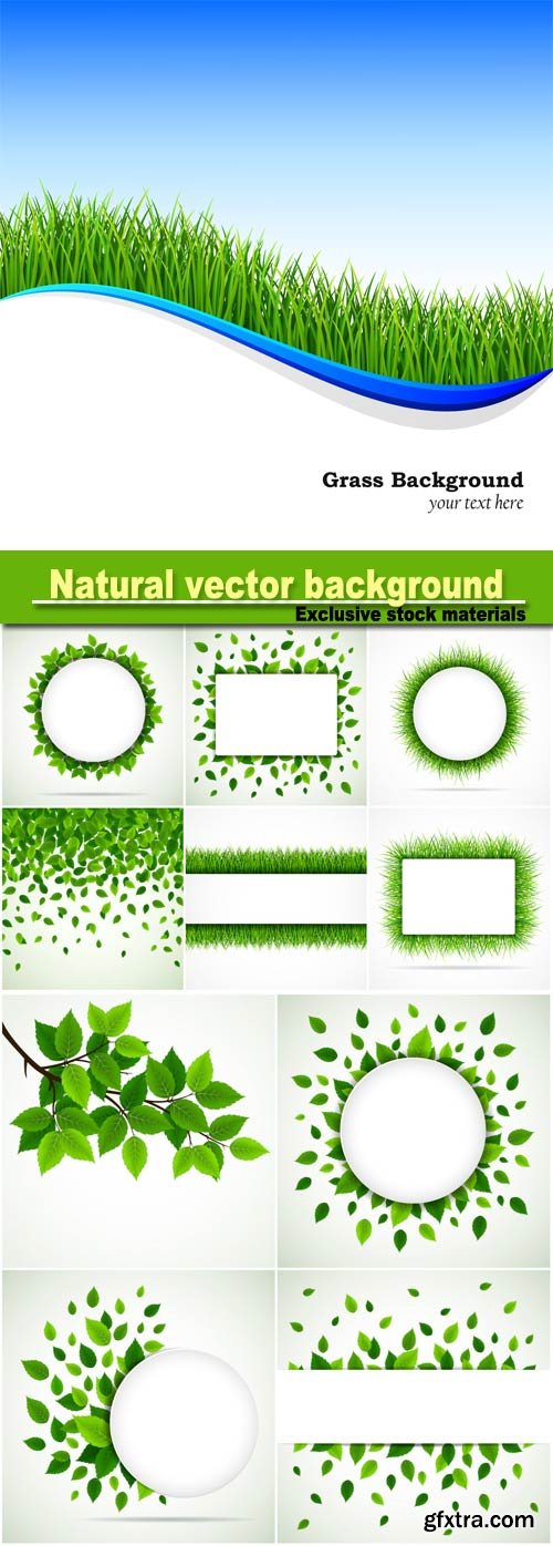 Natural vector background, grass and leaves