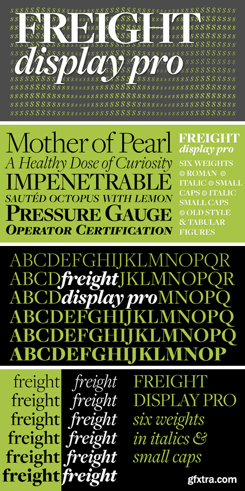 Freight Display Pro Font Family