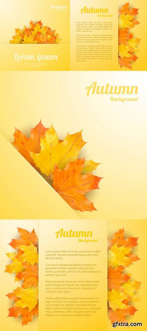 Autumn Background with Realistic Maple Leaves