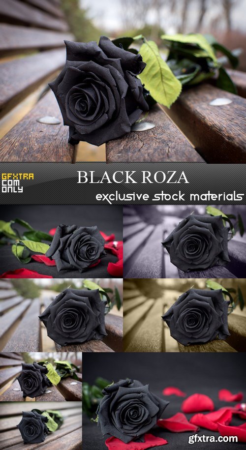 Black Roza - 7 UHQ JPEG