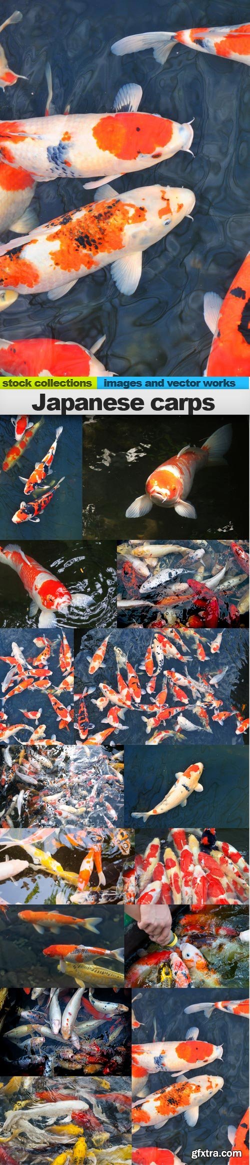 Japanese carps, 15 x UHQ JPEG