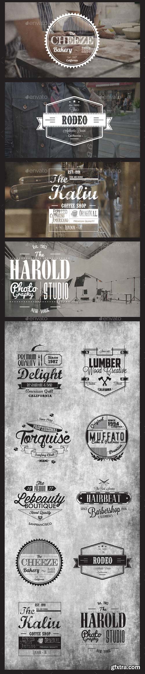 Graphicriver - 10 Vintage Label and Badges 11242113