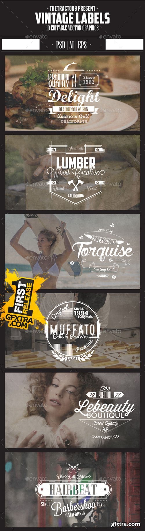 Graphicriver - 10 Vintage Label and Badges 11242113