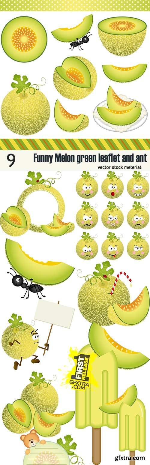 Funny Melon green leaflet and ant