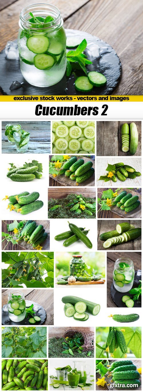 Cucumbers 2 - 24xUHQ JPEG