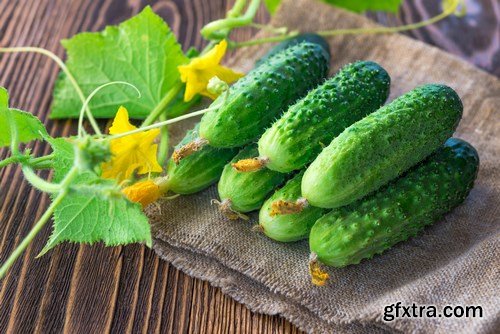 Cucumbers 2 - 24xUHQ JPEG