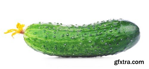 Cucumbers 2 - 24xUHQ JPEG