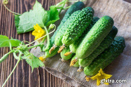 Cucumbers 2 - 24xUHQ JPEG