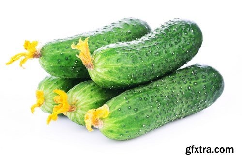 Cucumbers 2 - 24xUHQ JPEG