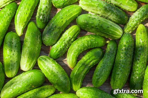 Cucumbers 2 - 24xUHQ JPEG