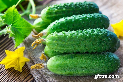 Cucumbers 2 - 24xUHQ JPEG