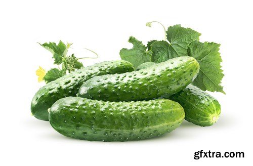 Cucumbers 2 - 24xUHQ JPEG