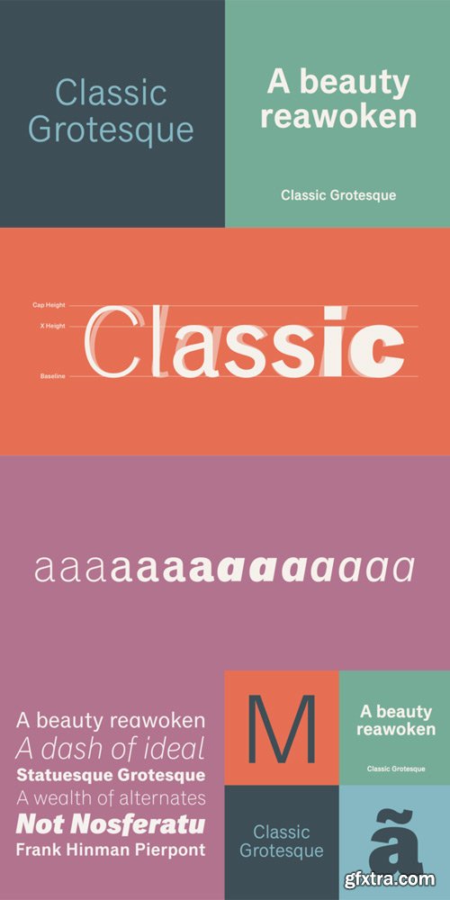 Classic Grotesque Font Family $499
