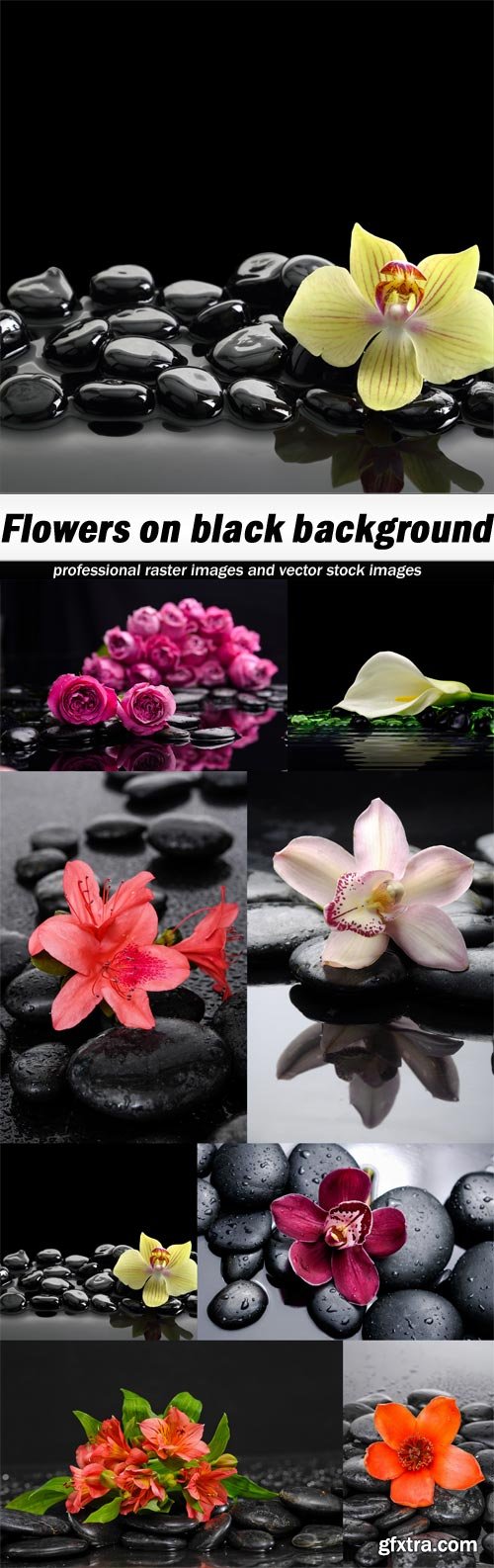 Flowers on black background - 8 UHQ JPEG