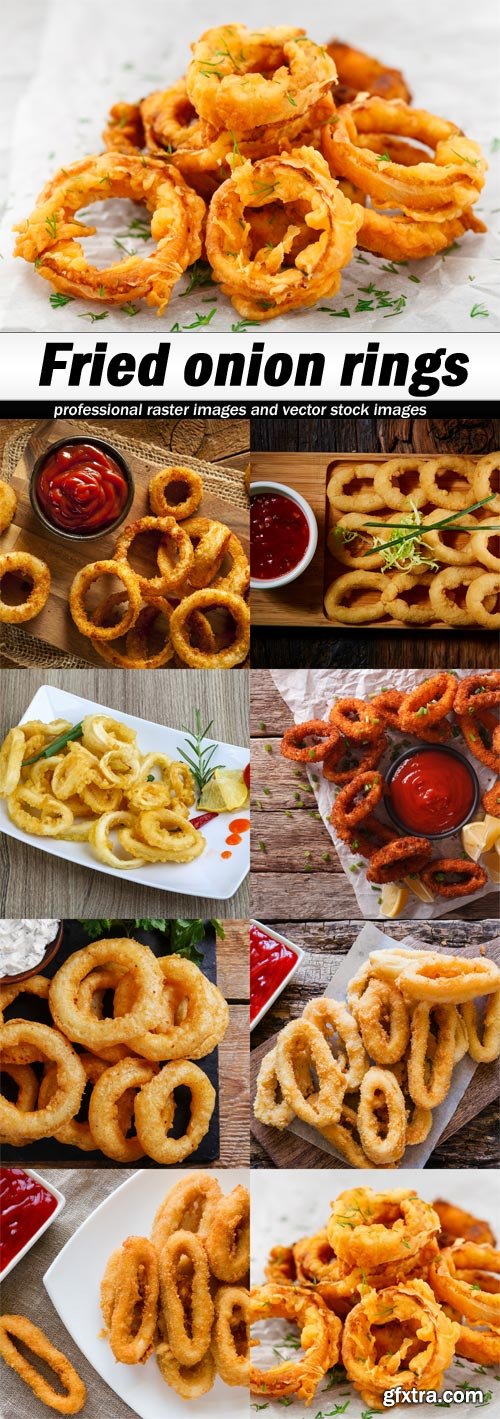 Fried onion rings - 8 UHQ JPEG