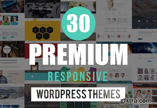 30 Premium Responsive WordPress Themes by TemplateMonster