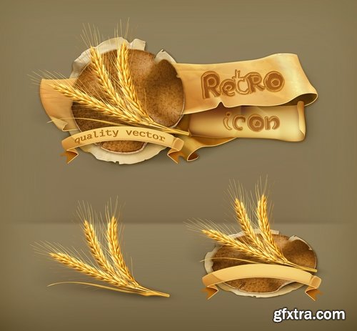 Collection of wheat heads of grain rye grain seed 25 EPS