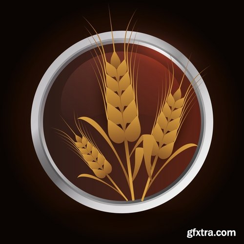 Collection of wheat heads of grain rye grain seed 25 EPS