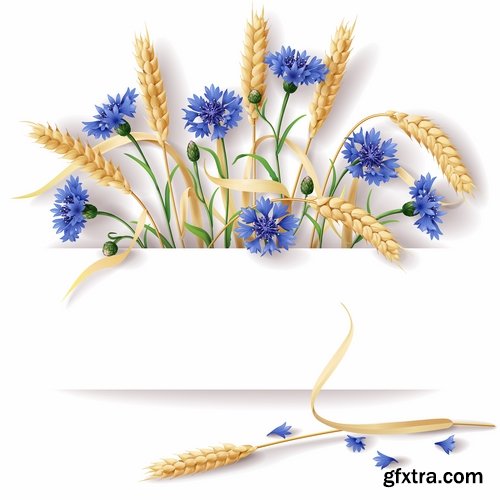 Collection of wheat heads of grain rye grain seed 25 EPS